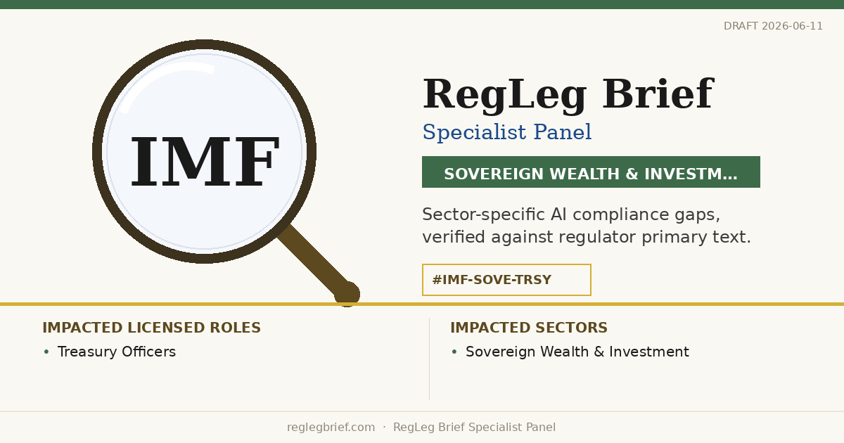 Sovereign Wealth & Investment Treasury teams: documentation and reporting gaps possible from AI reading of IMF Charges & Surcharge Reform (2024)